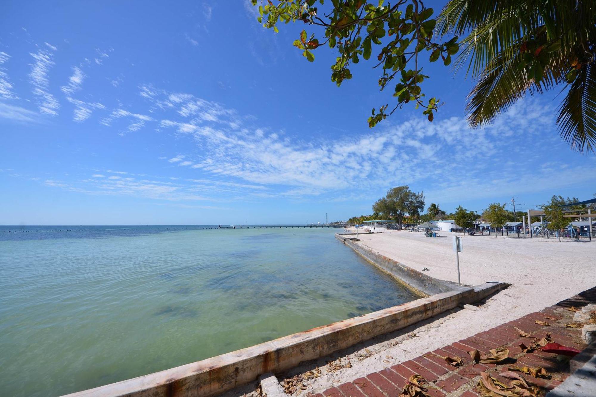 Pescado Penthouse On Duval Villa Key West Rom bilde