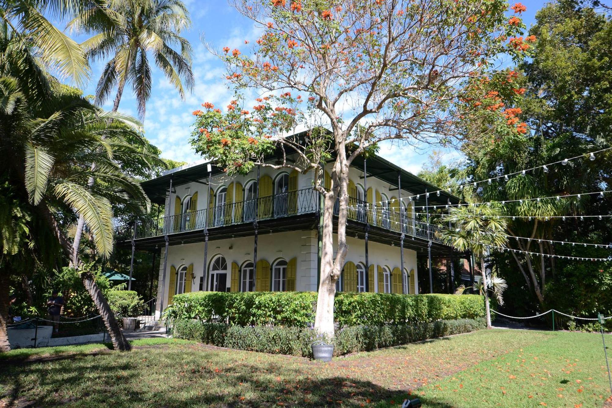 Pescado Penthouse On Duval Villa Key West Rom bilde